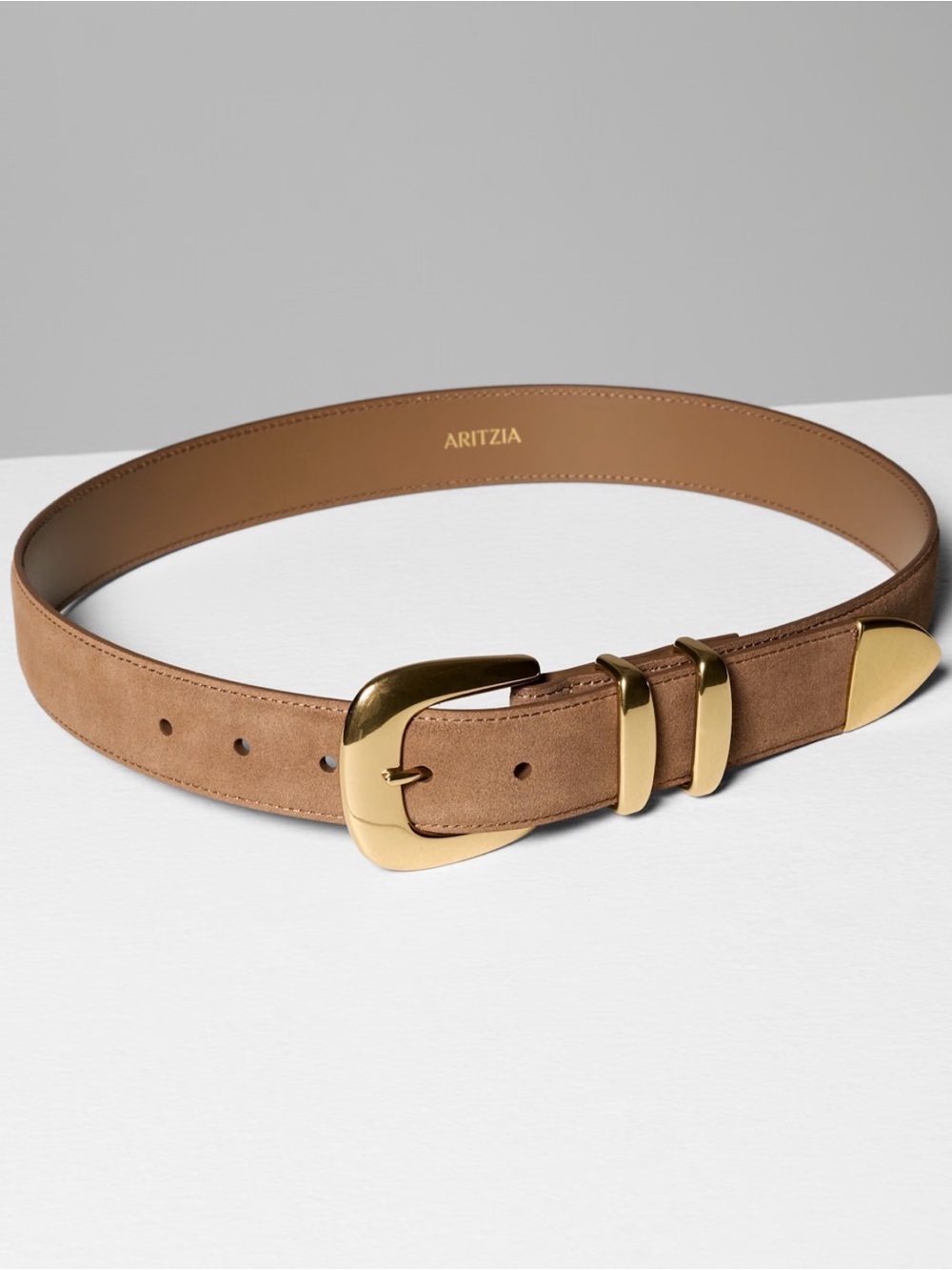 Aritzia legendary wide belt